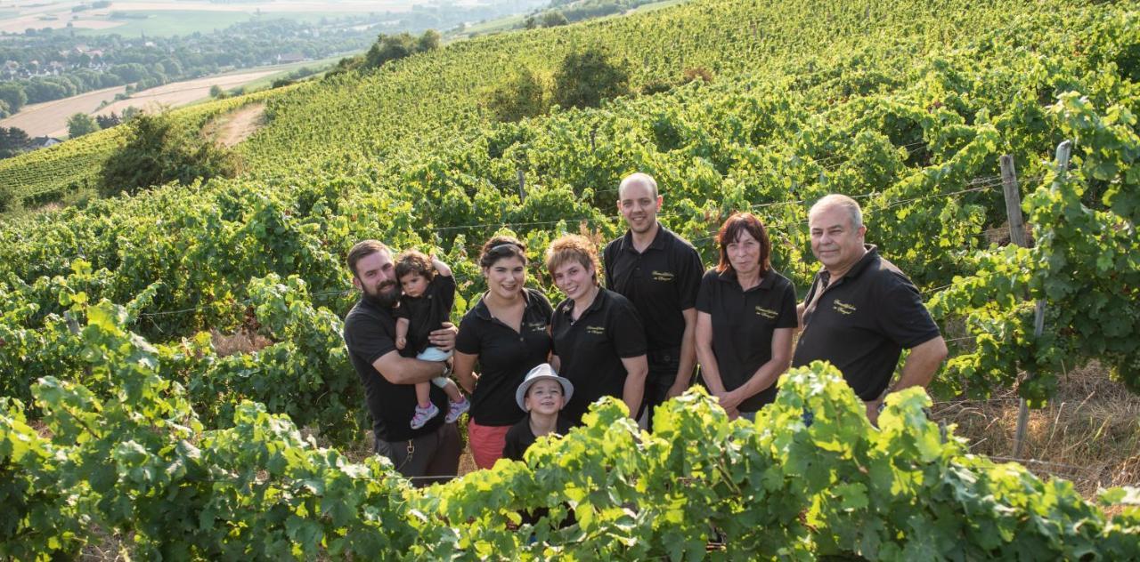 Weinschloesschen Im Weingut Roos Hotel Ilbesheim Bagian luar foto