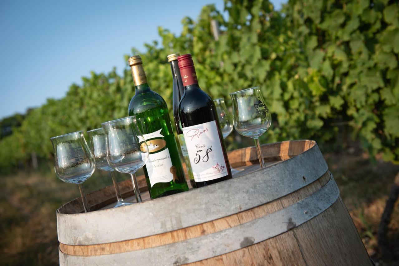 Weinschloesschen Im Weingut Roos Hotel Ilbesheim Bagian luar foto